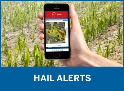 Hail Alerts by Trimble Ag Software